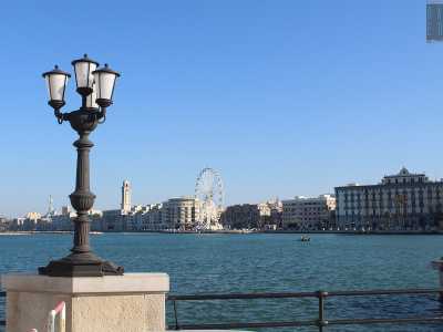 ...questi non hanno il basamento rettangolare, ma un�inconsueta forma angolare...
